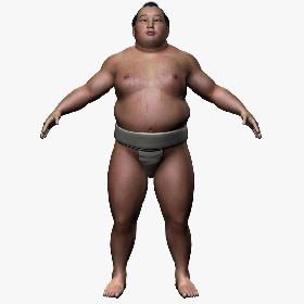Sumo (Basic)